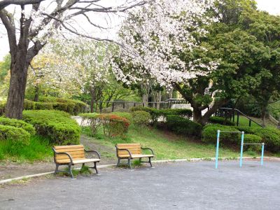 鴨池公園
