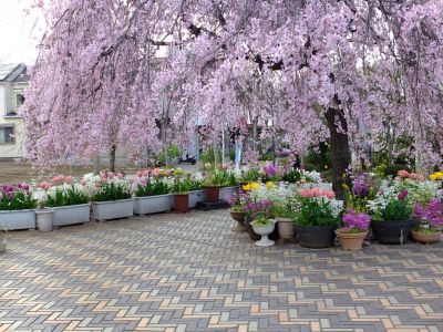 荏田近隣センター
