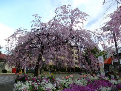 荏田近隣センター
