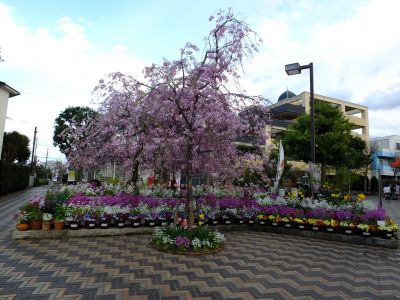 荏田近隣センター
