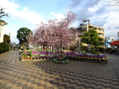 荏田近隣センター
