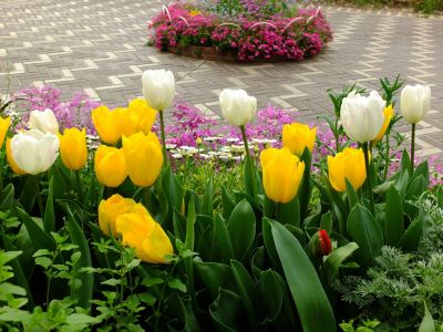 花のある街荏田近隣センター
