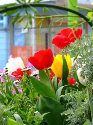 花のある街荏田近隣センター
