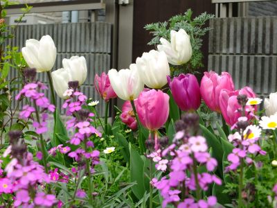 花のある街荏田近隣センター
