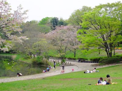 鴨池公園
