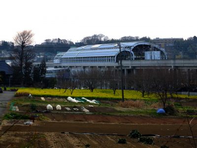 川和市民の森（展望台）

