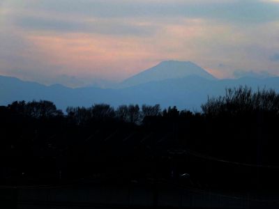 川和市民の森（展望台）
