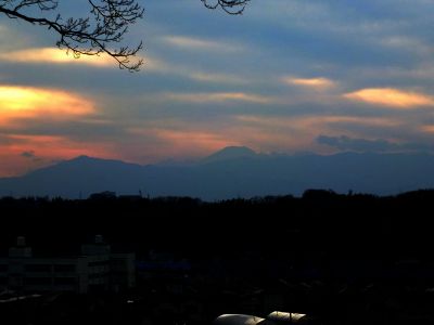 川和市民の森（展望台）
