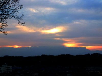 川和市民の森（展望台）
