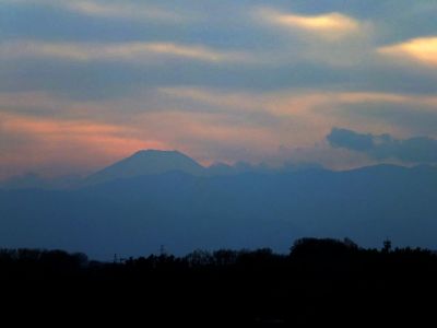 川和市民の森（展望台）
