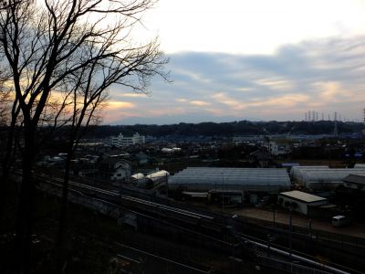 川和市民の森（展望台）
