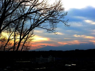 川和市民の森（展望台）
