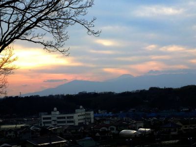 川和市民の森（展望台）
