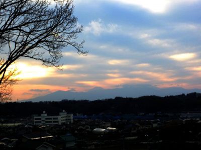 川和市民の森（展望台）
