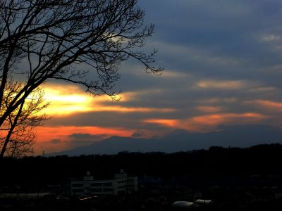 川和市民の森（展望台）
