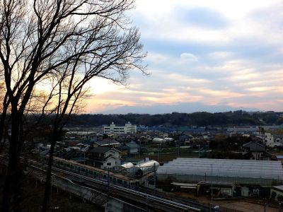 川和市民の森（展望台）
