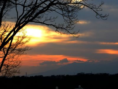 川和市民の森（展望台）
