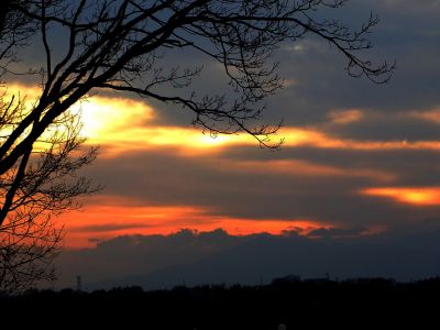 川和市民の森（展望台）
