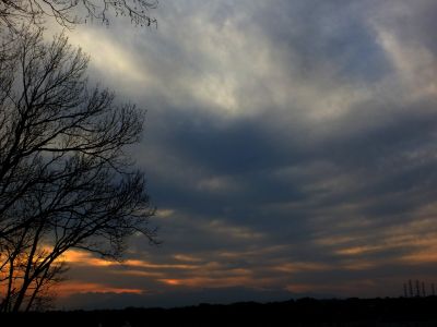 川和市民の森（展望台）
