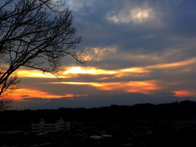 川和市民の森（展望台）
