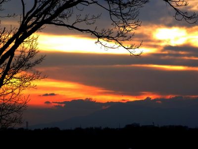 川和市民の森（展望台）

