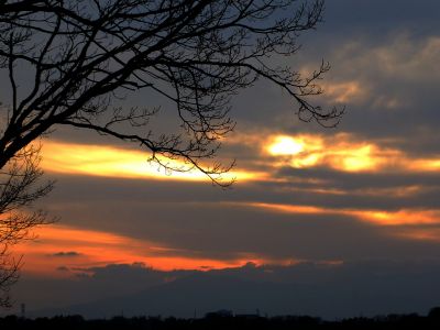川和市民の森（展望台）
