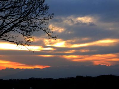 川和市民の森（展望台）
