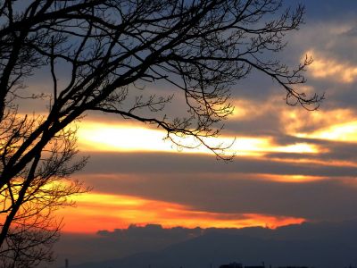 川和市民の森（展望台）
