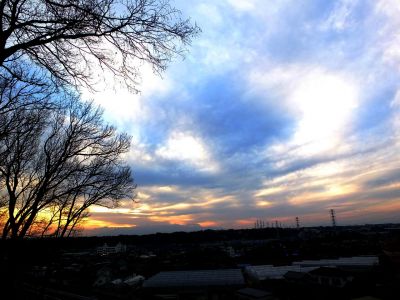 川和市民の森（展望台）
