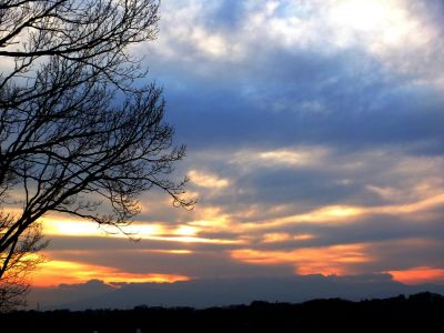 川和市民の森（展望台）
