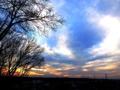 川和市民の森（展望台）
