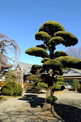 瑞雲寺（臨済宗円覚寺派）
