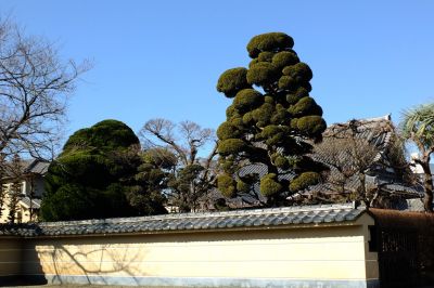 瑞雲寺（臨済宗円覚寺派）
