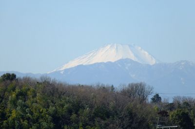 天宗寺（浄土宗）から
