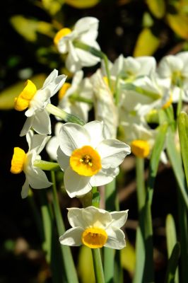 天宗寺（浄土宗）
