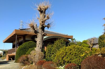 天宗寺（浄土宗）

