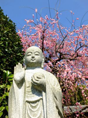 浄土宗鎮西派　岩澤山　天宗寺
