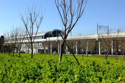 地下鉄川和町駅前
