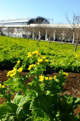 地下鉄川和町駅前
