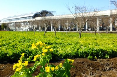 地下鉄川和町駅前
