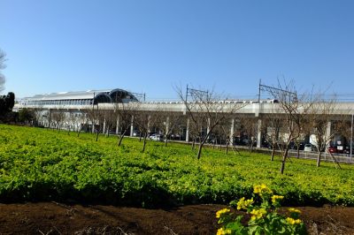 地下鉄川和町駅前
