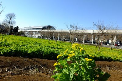地下鉄川和町駅前
