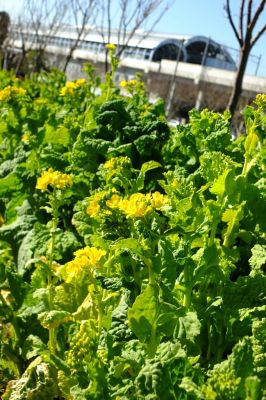 地下鉄川和町駅前
