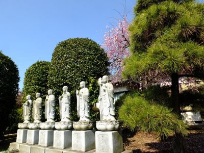 浄土宗鎮西派　岩澤山　天宗寺
