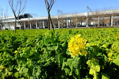 地下鉄川和町駅前
