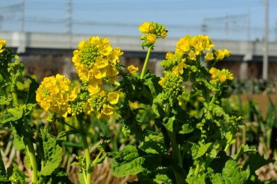 地下鉄川和町駅前
