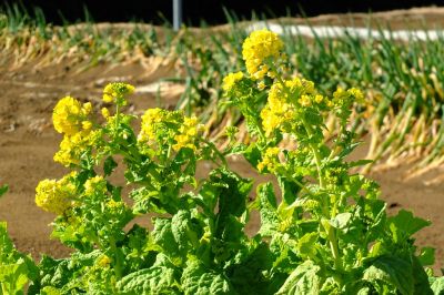 地下鉄川和町駅前
