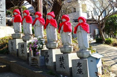 妙蓮寺（日蓮宗）冬のファッションです
