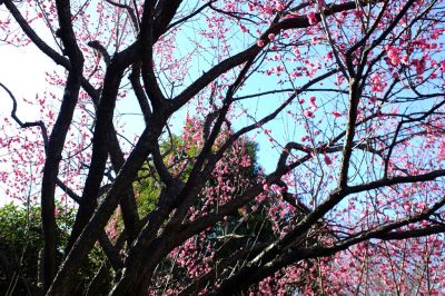 加賀原（京セラ）
