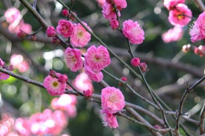 加賀原（京セラ）
